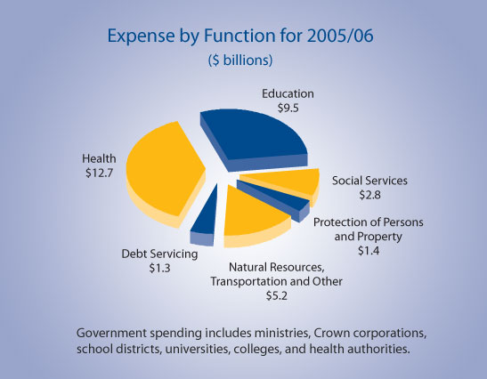 Expense by Function for 2005/06.