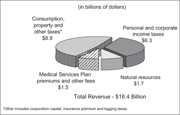 Figure 6: 2004/05 Revenue by Type.