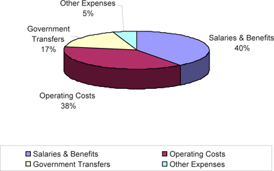 Figure 7. Gross expense for fiscal 2004/05.